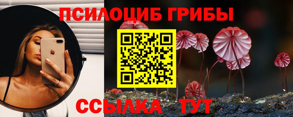 Магадан  Псилоцибиновые грибы Magic Shrooms  Галлюциногенные грибы Psilocybine cubensis  Вход с VPN 